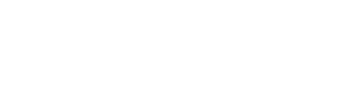 Auto Authority
